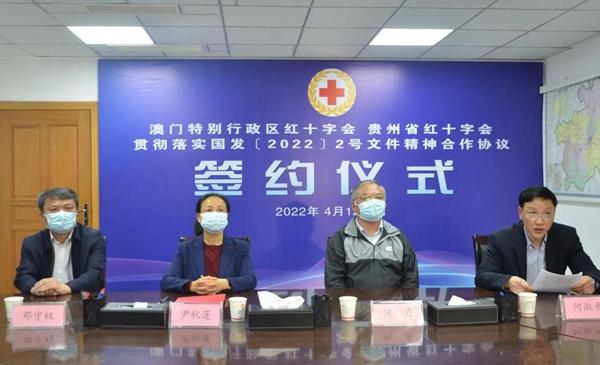 新澳门免费精准大全,精选解析、解释与落实